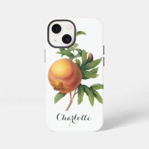 Etui iPhone 13 Mini Aliments anciens Fruit, Grenade par Redoute