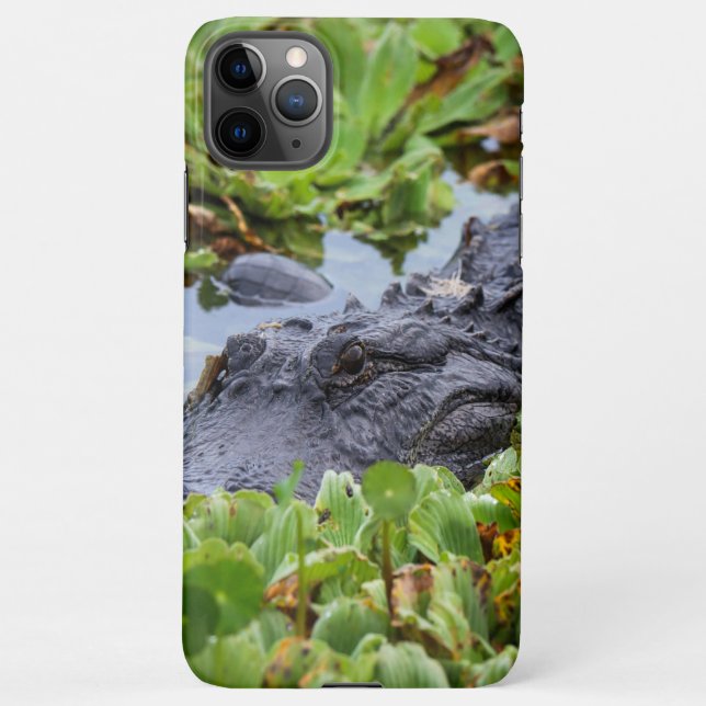 Coque iPhone Alligator américain parmi les plantes - Vibrant (Dos)