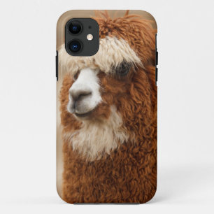 Coque iphone Alpaca