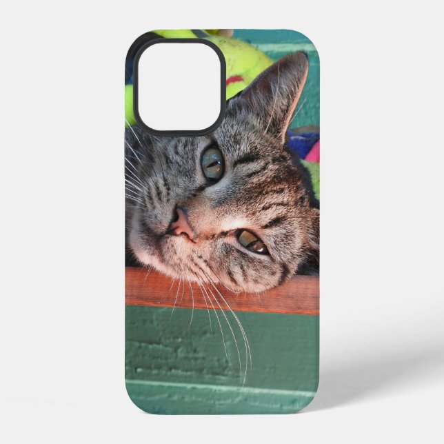 Coque iPhone Amour de chat  (Verso)