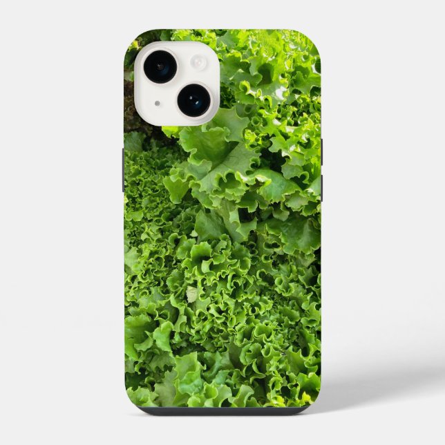 Coque iPhone Amour de laitue verte (Verso)