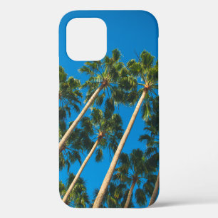 Coque iPhone 12 Angle du groupe de grands palmiers minces