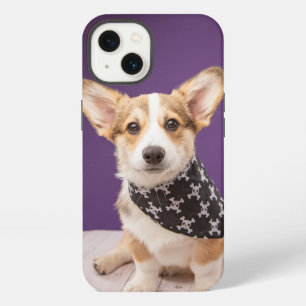 Etui iPhone 13 Animaux Bébés les Plus Mignons Bandana à Crâne d