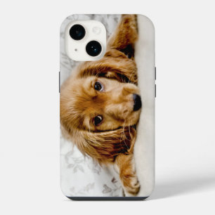 Coque Pour iPhone 14 Animaux Bébés les Plus Mignons Chiot Cocker Span