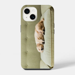 Coque Pour iPhone 14 Animaux Bébés les Plus Mignons Chiot Retriever D