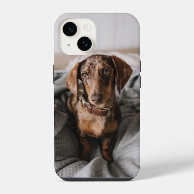 Coque iPhone Animaux Bébés les Plus Mignons | Teckel Chocolat P (Verso)