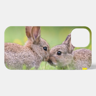 Etui iPhone 13 Animaux de bébés cutest   Bunny Kiss