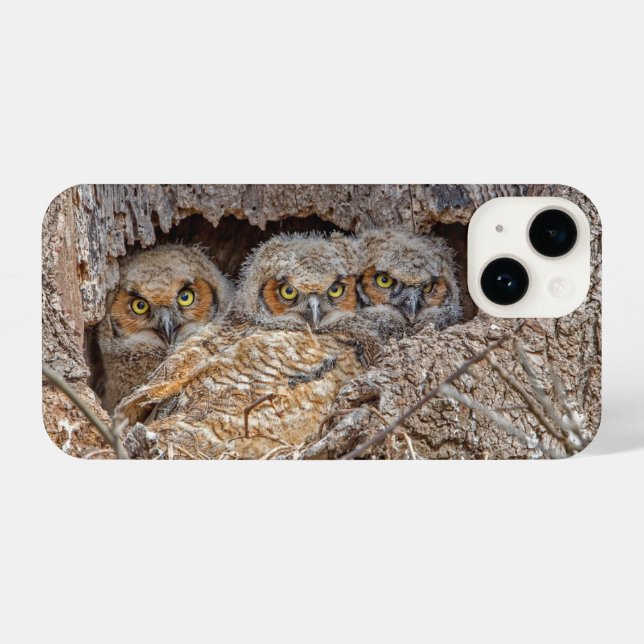 Coque iPhone Animaux de bébés cutest | Chiens à grande corne (Verso Horizontal)