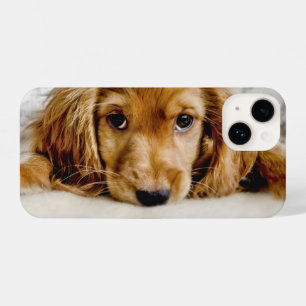 Coque Pour iPhone 14 Animaux de bébés cutest   Cocker Spaniel
