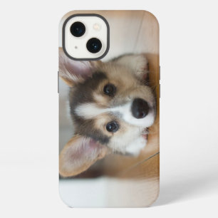 Etui iPhone 13 Animaux de bébés cutest   Corgi Puppy