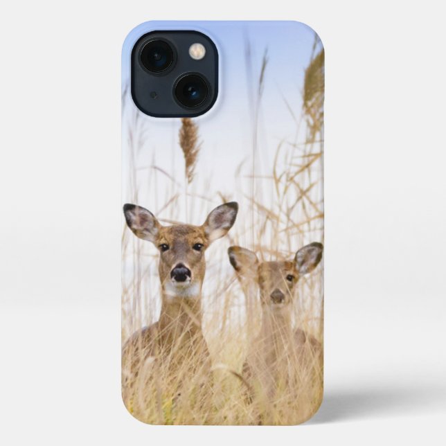 Coque iPhone Animaux de bébés cutest | Deux jeunes cerfs à queu (Verso)