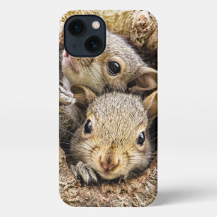 Etui iPhone 13 Animaux de bébés cutest   Écureuils curieux