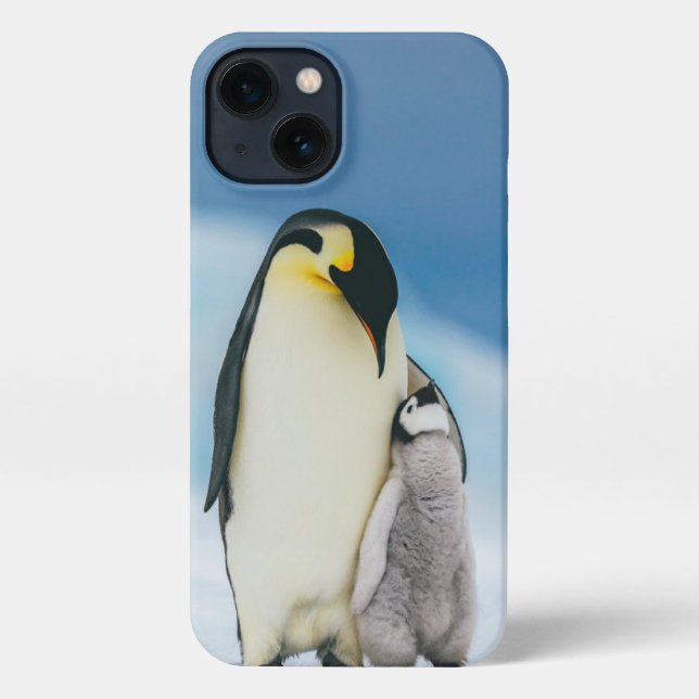 Coque iPhone Animaux de bébés cutest | Empereur Penguin Chick (Verso)
