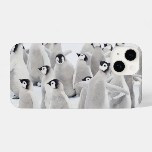 Coque iPhone Animaux de bébés cutest | Empereur Penguin Chicks (Verso Horizontal)