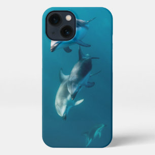 Etui iPhone 13 Animaux de bébés cutest   Famille de dauphins