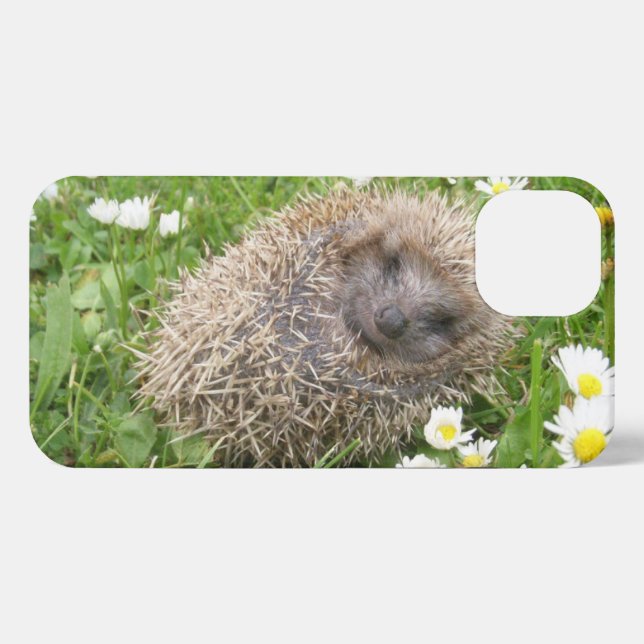 Coque iPhone Animaux de bébés cutest | Hérisson espagnol (Verso Horizontal)