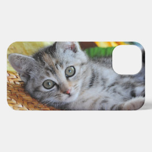 Etui iPhone 13 Animaux de bébés cutest Lounge Kitten