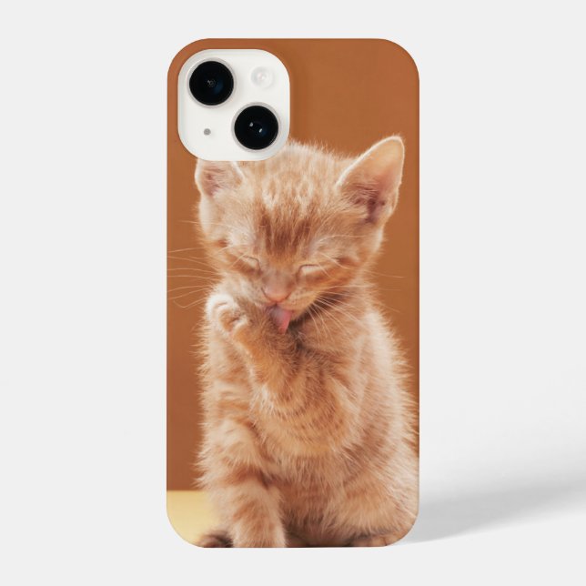 Coque iPhone Animaux de bébés cutest | Orange Tabby Kitten (Verso)