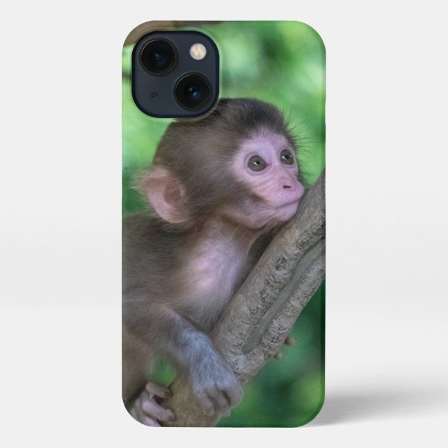 Coque iPhone Animaux de bébés cutest | Singe bébé (Verso)