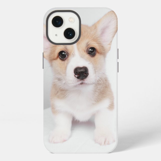 Coque iPhone Animaux de bébés cutest | Tiny Corgi (Verso)