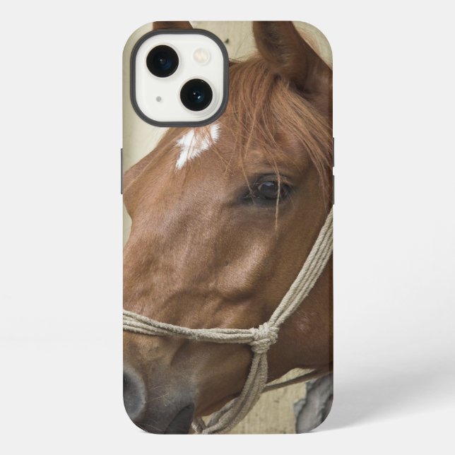 Coque iPhone Arab Horses (Verso)