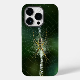 Coque Pour iPhone 14 Plus Araignée de jardin noire et jaune