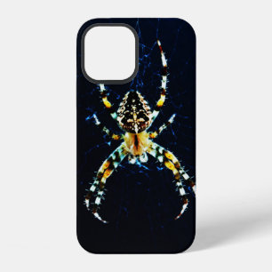 Coque iPhone 12 Araignée diadème iphcnm