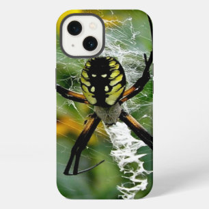 Etui iPhone 13 Araignée d'orbite dans la toile