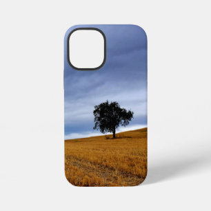 Coque iPhone 12 Mini Arbre dans un champ de blé