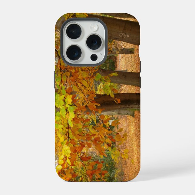 Coque iPhone Arbres d'automne (Verso)