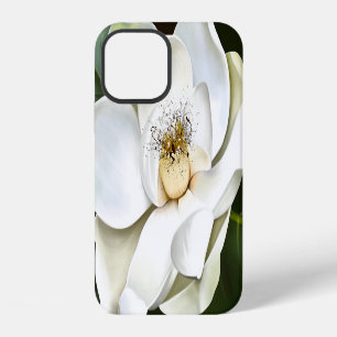 Coque iPhone 12 Arrière - plan blanc Magnolia Closeup Vert