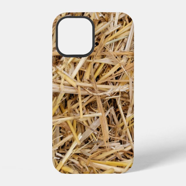 Coque iPhone Arrière - plan Hay Bale (Verso)