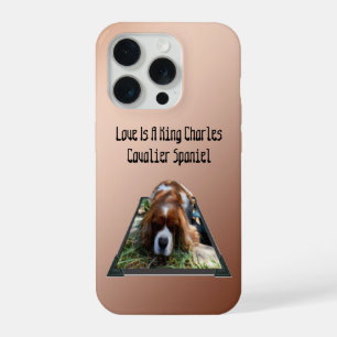 Coque iPhone 15 Pro Art Cavalier Spaniel Popout,