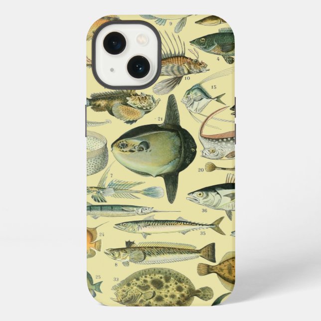 Coque iPhone Art scientifique de pêche de poissons vintage (Verso)