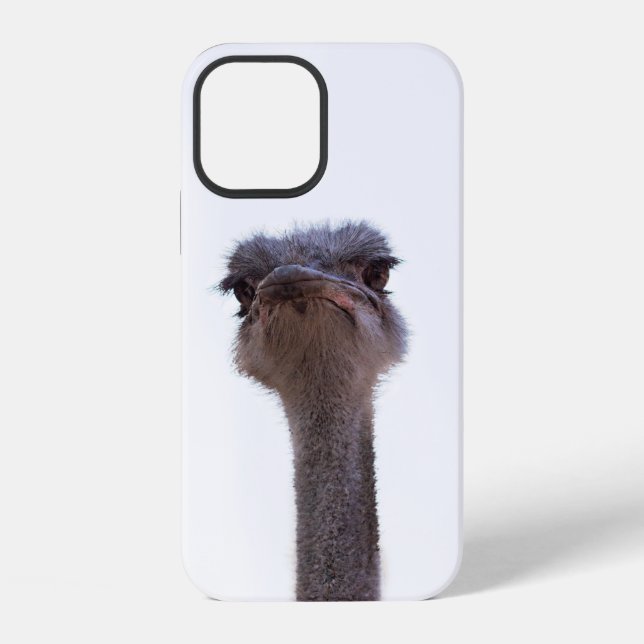 Coque iPhone autruche (Verso)