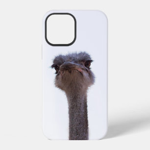 Coque iPhone 12 Autruche Oiseau