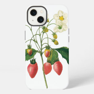 Etui iPhone 13 Baies de fruits vintage par Redoute