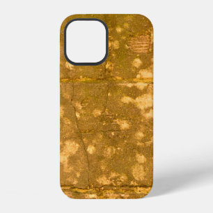Coque iPhone 12 Beau arrière - plan vintage. Grunge deco Abstrait