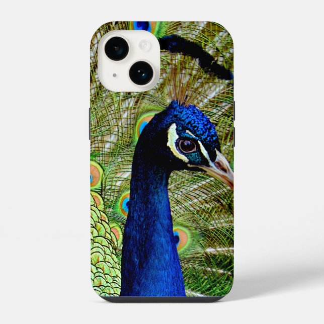 Coque iPhone Beau Bleu Vert Peacock Oiseau Joli (Verso)