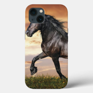 Etui iPhone 13 Beau Cheval Noir
