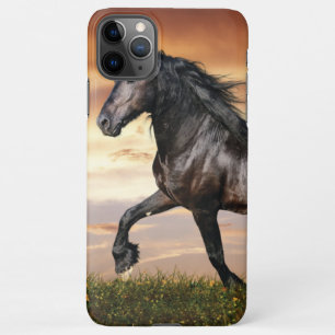 Coque iPhone 11Pro Max Beau Cheval Noir