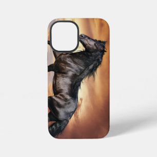 Coque iPhone 12 Mini Beau Cheval Noir
