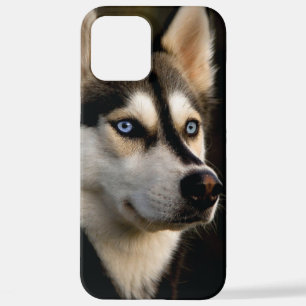 Coque iPhone 12 Pro Max Beau Oreiller Husky Lrow
