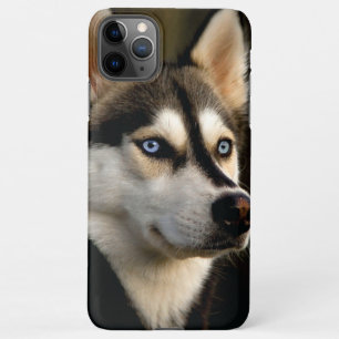 Coque iPhone 11Pro Max Beau Oreiller Husky Lrow