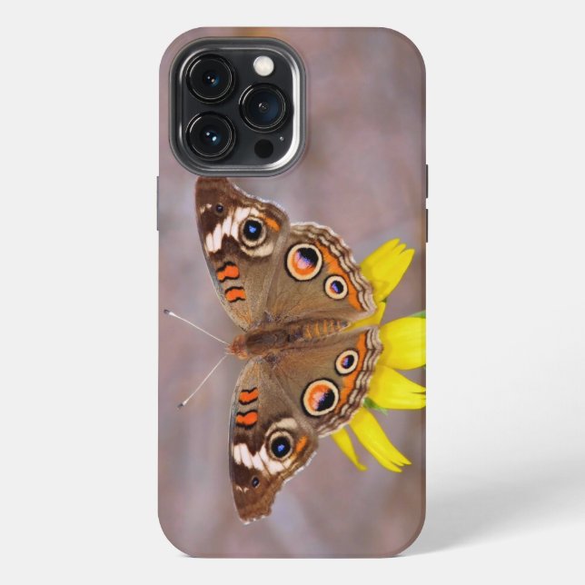 Coque iPhone Beau papillon sur Fleur Jaune (Verso)