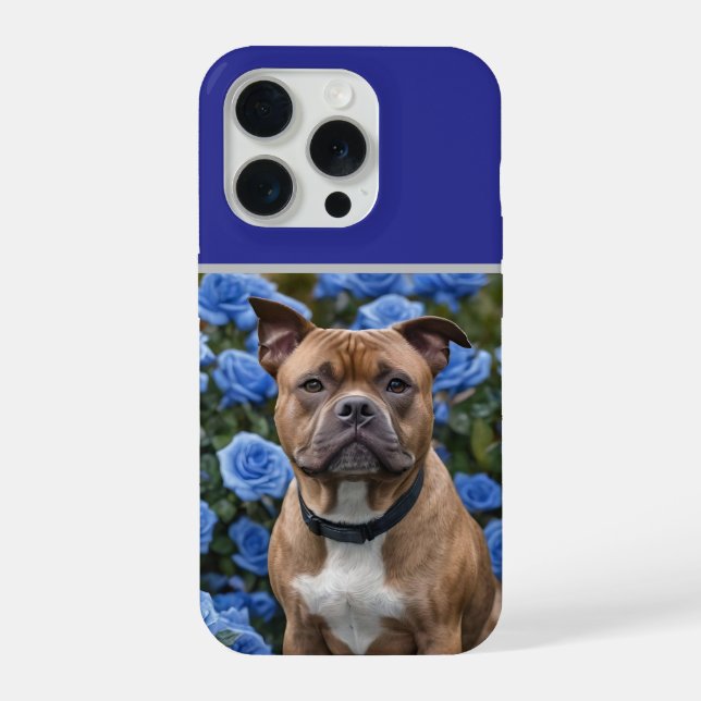 Coque iPhone "Beauté audacieuse : un Staffy brun dans un jardin (Verso)