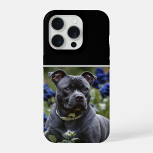 Coque iPhone 15 Pro "Beauté Blue Brindle : un Staffy avec des roses bl