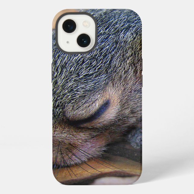 Coque iPhone Bébé écureuil dormant (Verso)
