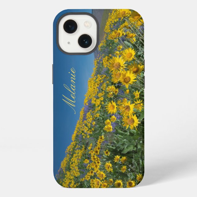Coque iPhone Belle Floraison de Balsamroot (Verso)