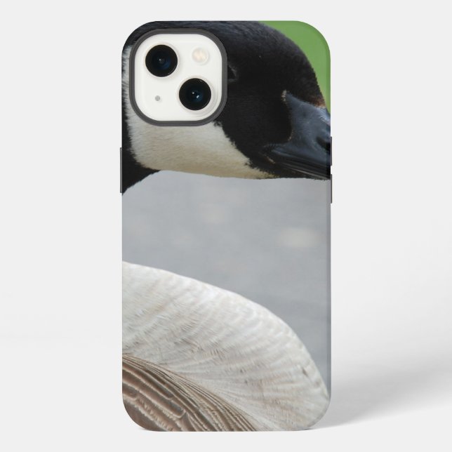 Coque iPhone Bernache du Canada (Verso)